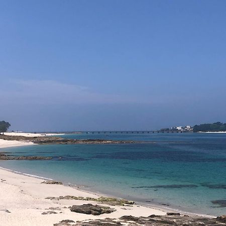 Nankurunaisa Vigo Eksteriør bilde